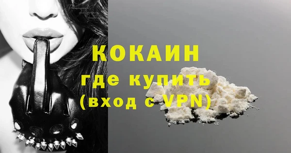 a pvp Бородино