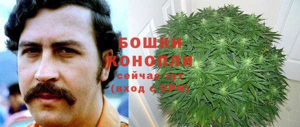 a pvp Бородино