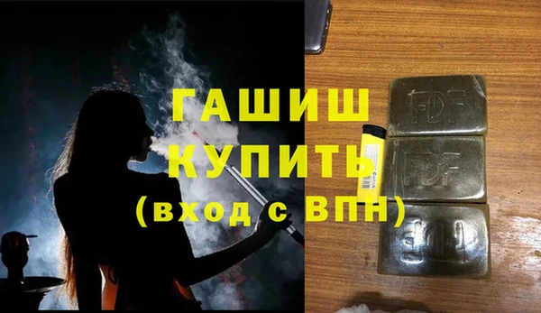 a pvp Бородино