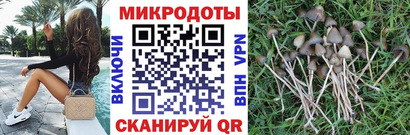 нарко площадка наркотические препараты  Мытищи  Галлюциногенные грибы Psilocybe 